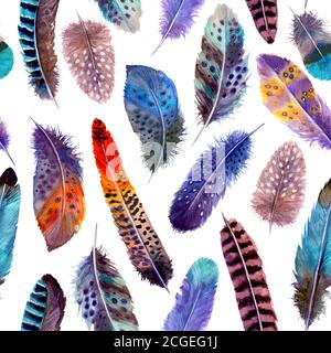 Plumes d'aquarelle motif abstrait coloré sans couture sur fond blanc. Dessin à la main plume d'oiseau aquarelle illustration lumineuse. Conception d'impression pour Banque D'Images