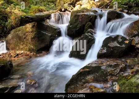 La cascade de montagne coule dans la forêt verte et descend les belles pierres grises. Fond d'écran estival incroyable. Banque D'Images