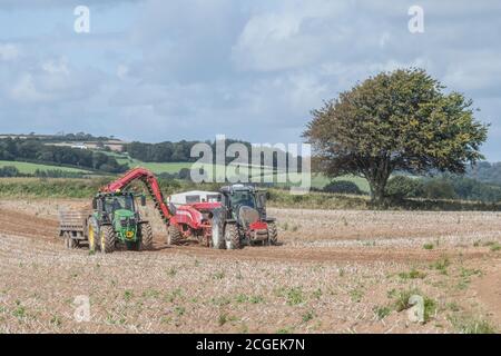 Récolteuse de pommes de terre Grimme GT 170 et tracteur John Deere 6155R transportant une remorque, travaillant en tandem. Récolte de pommes de terre au Royaume-Uni en 2020, production de pommes de terre au Royaume Banque D'Images