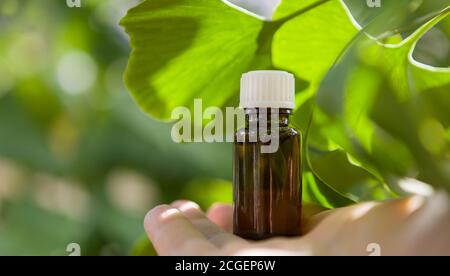 Ginkgo biloba huile essentielle - traitement de beauté, copie rapide. Banque D'Images