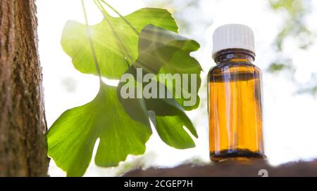 Ginkgo biloba huile essentielle - traitement de beauté. Banque D'Images