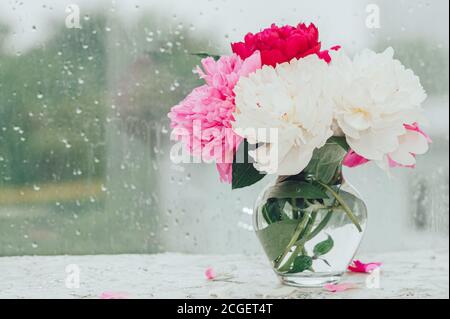 bouquet de pivoines fraîches et luxuriantes multicolores dans un élégant vase en verre près d'une fenêtre de gouttes de pluie mouillées, décoration maison avec fleurs fraîches Banque D'Images