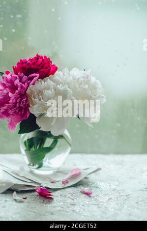 image verticale d'un bouquet de plusieurs couleurs parfumées fraîches et luxuriantes pivoines dans un élégant vase en verre sur un journal d'époque Près d'une fenêtre humide depuis le raindro Banque D'Images