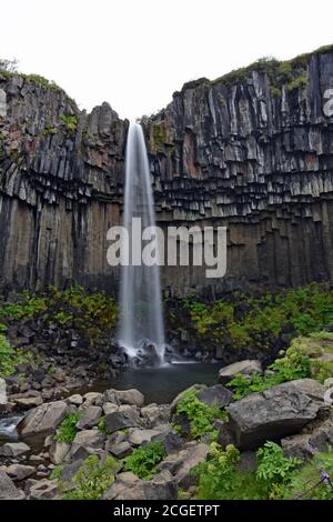 Le mouvement flou de la chute d'eau Svartifoss à Skaftafell, parc national de Vatnajokull, Islande. L'eau coule dans une piscine entre les rochers et les rochers. Banque D'Images