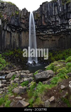 L'eau floue de la cascade de Svartifoss à Skaftafell, parc national de Vatnajokull, Islande. Des arbustes verts entourent les colonnes de lave à la base. Banque D'Images