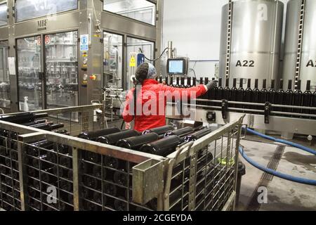 Femmes travaillant sur une ligne d'embouteillage dans une cave de vinification/cave à vin. Banque D'Images