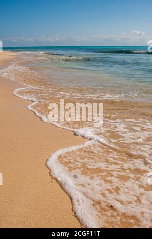 Vue sur la plage de sable blanc de Playa del Carmen, sur la côte est de la péninsule du Yucatan, sur la mer des Caraïbes, dans l'État de Quintana Roo, au Mexique. Banque D'Images
