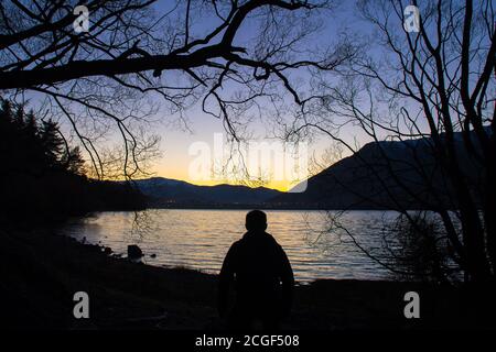 L'arbre sans feuilles et le seul homme debout près du lac à l'aube. L'atmosphère est solitaire et effrayante. Dans le concept Halloween Banque D'Images