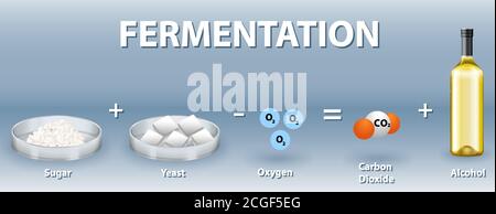 Illustration de l'équation chimique de fermentation alcoolique Illustration de Vecteur