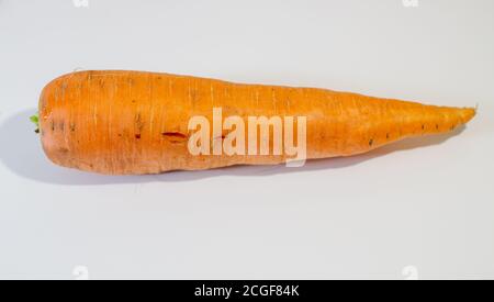 Grande carotte fraîche isolée sur fond blanc Banque D'Images