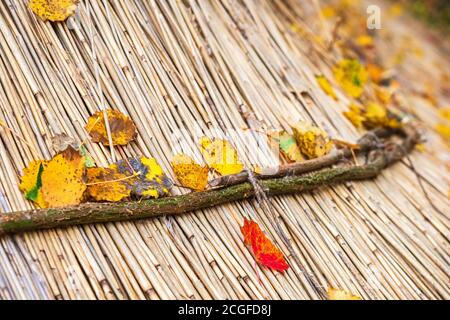 Toit de chaume avec feuilles d'automne colorées Banque D'Images