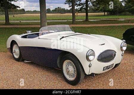 Austin-Healey 100S (1954), car Club Displays, Concours of Elegance 2020, Hampton court Palace, Londres, Royaume-Uni, Europe Banque D'Images