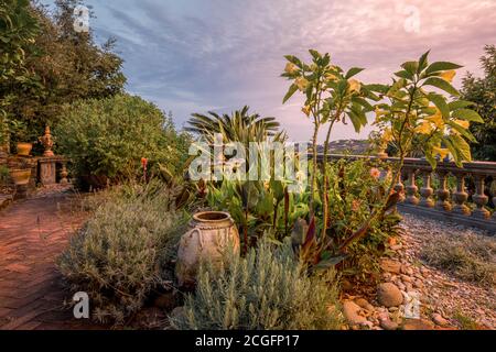 L'été est ici sur les magnifiques jardins des belles villas sur la côte méditerranéenne italienne de Ligurie appelée la Côte des fleurs. Banque D'Images