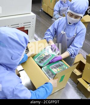 Dandong, province de Liaoning. 10 septembre 2020. Les travailleurs emballez des produits du poisson dans une usine d'une entreprise alimentaire de Donggang City, dans le nord-est de la province de Liaoning, le 10 septembre 2020. Les entreprises produisant des produits du poisson à Donggang développent de nouveaux produits transformés et élargissent les canaux de commercialisation pour assurer leurs ventes. Credit: Yao JIANFENG/Xinhua/Alay Live News Banque D'Images