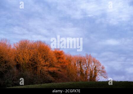 Coucher de soleil en automne produisant une couleur profonde dans les nuages tandis que le soleil se couche sous l'horizon. Banque D'Images