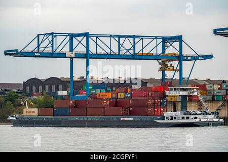 RRT, terminal Rhein-Ruhr, terminal à conteneurs sur le Rhin, Logport, Duisport, chargement de conteneurs à Duisburg Hüttenheim, à Duisburg, NRW, Allemagne Banque D'Images