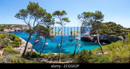 Vue panoramique d'une magnifique crique à Majorque, Espagne, avec des bateaux ancrés de la montagne avec des pins au premier plan près de la plage 'Calo des Banque D'Images