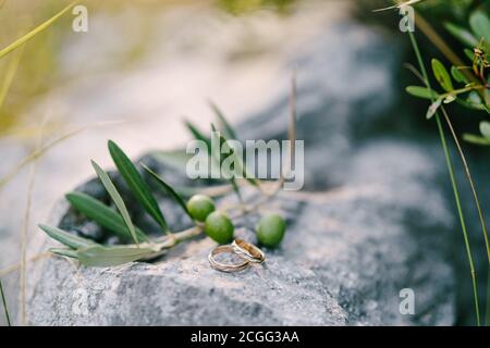Anneaux d'or pour un mariage sur une pierre avec une branche d'olivier avec des fruits sur un fond flou. Banque D'Images