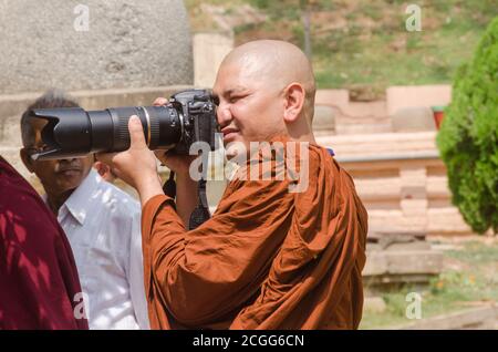 photographe lama Banque D'Images