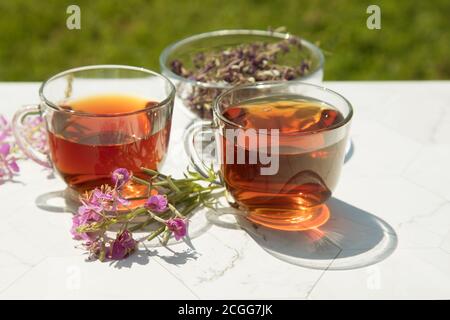 Chamaenerion angustifolium thé (cyprès, saule rose, Ivan-thé) avec fleurs sèches et fraîches pour la décoration dans deux tasses en verre sur un fond clair, dri Banque D'Images