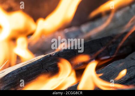 Feu de bois orange chaud à haute température flammes en gros plan. Étincelles dans la cheminée brûlant avec un arrière-plan flou Banque D'Images