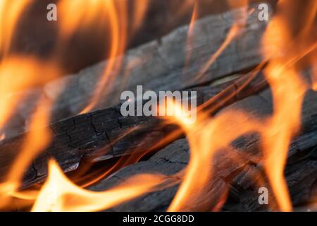 Fusain brûlant avec feu rouge orangé étincelant flammes gros plan. Foyer extérieur chaud avec un arrière-plan flou Banque D'Images