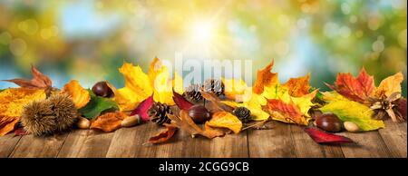 Feuilles d'automne colorées sur une surface de bois dans devant un magnifique arrière-plan naturel défoqué aux rayons lumineux du soleil et des couleurs agréables Banque D'Images