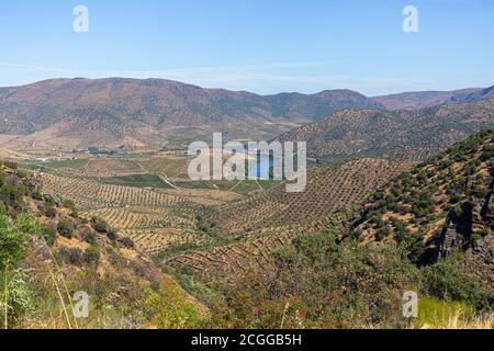 Vue panoramique sur le paysage typique du Parc International du Douro, hauts plateaux dans le nord du Portugal, niveaux pour l'agriculture des vignobles, oliv Banque D'Images