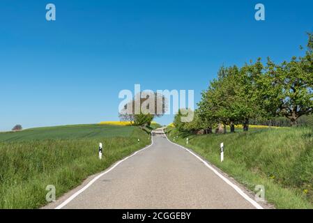 La route de campagne traverse le paysage agricole, Walzbachtal, Kraichgau, Bade-Wurtemberg, Allemagne, Europe Banque D'Images