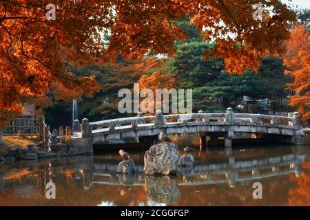 La vue du pont en pierre qui se reflète dans l'eau de l'étang Hyotan au parc Maruyama en automne. Kyoto. Japon Banque D'Images