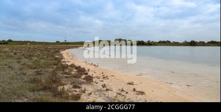 Lac Thetis près de Cervantes en Australie occidentale Banque D'Images