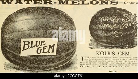 . Griffith & Turner Co : fournitures agricoles et de jardin . MONARCH GRIS OU LONG GLAÇAGE BLANC. Ce Melon distinct est sans doute l'un des plus grands d'EM,atteignant fréquemment un poids de 70 livres et plus. La peau est de couleur gris tachetée, de forme longue, chair crimson vif, et ofsuet, saveur délicieuse. C'est aussi un bon expéditeur, transportant des distances bien longues, et apportant des prix très élevés. PKT., 5c. Oz., 10c. 1-4 lb, 15c. Lb., 50 c. PASTÈQUE RATTLESNAKE. Grand, oblong, rayé et tacheté : chair rouge vif ; un bon navire : une variété préférée dans le Sud. Pkts , 5c. Et 10c. 1-4 lb, 15c. Lb., Banque D'Images