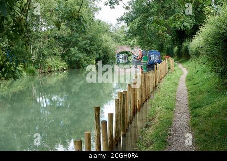 Une vue sur le chemin de halage sur le canal Kennet et Avon, des poteaux en bois aident à maintenir le côté du canal en train de s'effondrer - l'Angleterre rurale Banque D'Images