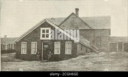 . La ferme-volaille . t de planches à la base, et au-dessus de ces quatre pieds de filet de deux pouces. Le travail a commencé sur douze stylos de plus. Les travaux de la maison de ponte auront une longueur de cent soixante-quatre pieds. La cave de l'incubateur est en brique, de vingt-huit pieds de large, quarante pieds de long, avec un plancher de ciment, et des fenêtres — trois par quatre pieds — articulées au fond. Dix incubateurs à 400 œufs de l'État des Prairies sont en cours d'utilisation. La plante fait une spécialité de bledWhite Wyandottes pur pour les premiers poulets de chair pour le marché de Denver, ainsi que pour le stock pour les saleà des fins de reproduction, et les oeufs pour Banque D'Images