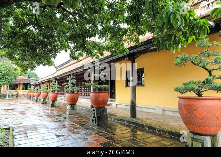 Bonsai arbres dans des pots à la ville impériale, une enceinte fortifiée dans la citadelle de la ville de Huế, Vietnam, Asie du Sud-est, Asie Banque D'Images