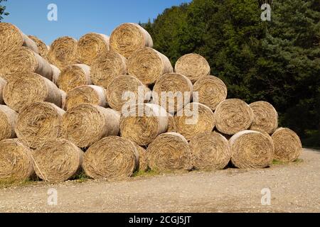 balles de foin brun jaune empilées en hauteur stockées dans une forêt chemin en face d'une forêt verte et d'un ciel bleu Banque D'Images