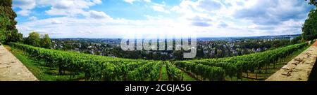 Vue panoramique sur la ville de Wiesbaden à Hessen, Allemagne. Vu de Neroberg. Banque D'Images