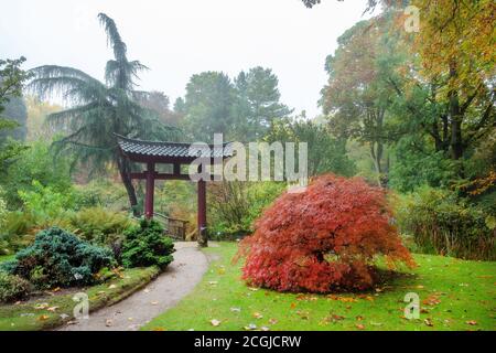 Paysage incroyable avec porte rouge et pont en bois en japonais garen à Leverkusen à l'automne Banque D'Images