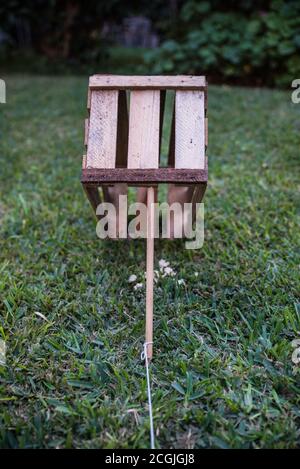 Un piège fait avec une boîte en bois et une corde attachée à un bâton dans un jardin. Banque D'Images