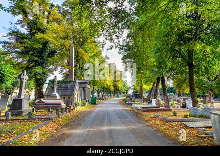 Allée au cimetière Kensal Green Cemetery à l'automne, Londres, Royaume-Uni Banque D'Images