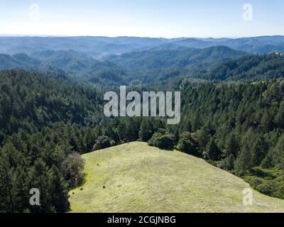 Vue d'ensemble IV - vue aérienne de l'aire de loisirs de l'État d'Austin Creek. Guerneville, Californie, États-Unis Banque D'Images