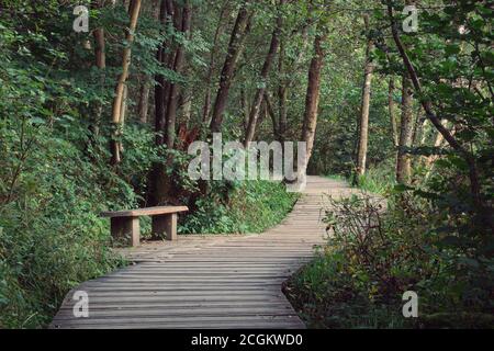 Passerelle et banc en bois entourés d'arbres par une journée ensoleillée en automne. Ce chemin est situé sur la rive des chutes de Clyde. La passerelle Clyde. New Lanark, Écosse, Royaume-Uni Banque D'Images