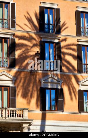 L'ombre d'un beau palmier, symbole des célèbres marches espagnoles, est projetée par la lumière du soleil sur une façade ancienne typique de la Piazza di Spagna Banque D'Images