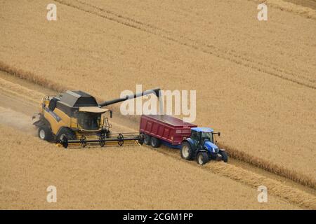 Une moissonneuse-batteuse qui télécharge son grain dans une remorque tractée par un tracteur dans un champ proche de Mere dans le Wiltshire. Royaume-Uni Banque D'Images