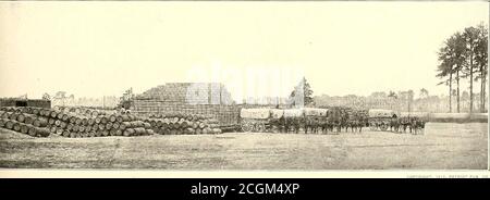 . L'histoire photographique de la guerre civile : en dix volumes . CHARGEMENT DE WAGONS DE RAVITAILLEMENT DES TRANSPORTS POUR LES SUBVENTIONS ARMÉE—VILLE POINT, 1SG4. PORC, DUR-TACK, SUCRE, ET CAFÉ POUR LE COMMISSAIRE RÉGIMENTAIRE AU NIVEAU DU CÈDRE les immenses installations d'approvisionnement et de transport du Nord en 18(H, contrastait avec la situation de la soldat du Sud, récalsBonapartes terse discours à son armée en Italie: Soldats! Vous avez besoin de tout : l'ennemi a tout. Les Confédérés ont agi sur le même principe. À City point, en Virginie, Grants wagon-trains a reçu les fournitures militaires débarquées des navires. Banque D'Images