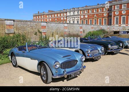 Austin-Healey 100/6 BN4 (1958) et deux Austin-Healey 3000s, car Club Displays, Concours of Elegance 2020, Hampton court Palace, Londres, Royaume-Uni Banque D'Images