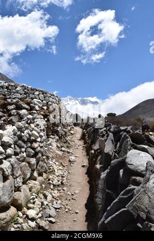 Une vue fascinante sur les terrasses salées à Maras, Pérou célèbre. Ces étangs salins en Amérique du Sud ont été construits en AD200-AD900 par la culture Chanapata Banque D'Images