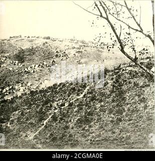 . L'histoire photographique de la guerre civile : en dix volumes . LÀ OÙ CINQ MILLE PRISONNIERS CONFÉDÉRÉS SONT CAMPÉS sur les hauteurs au-dessus du creux, les saisies de l'Union peuvent être décrites contre la ligne de ciel. Le clusterof huts sur la page de droite fait partie du camp fédéral. De décembre 1862 à juin 1863, la plus sombre demi-année de la guerre du Nord, l'armée fédérale fut campée près de Falmouth, en Virginie, ville alittle sur la rivière Rappahannock, en face de Fredericksburg. Les quartiers d'hiver s'étirent vers les formiles vers Belle Plain et Aquia Creek, les bases de fournitures. Scou. Continue Banque D'Images