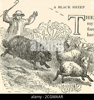 . Denis Duval, Lovel le veuf, les loups et l'agneau, le second enterrement de Napoléon ... avec des illustrations de l'auteur et de Frederick Walker . pas entendu, dit Cissy. On ne pouvait pas entendre les petits garçons, Mlle Prior? Ils n'insultent pas leurs grands-mères. O myCecilia—ma Cecilia! Cries Lady Baker, levage de l'hermain. Vous me frappez ! Je dis, tu me frappes ! RoarsPop, en partant de l'arrière, et en commençant à carré à son ancêtre en-rage. La scène était de plus en plus douloureuse.et il y avait ce rascal d'un Bedford étouffant avec le rire supprimé au côté. Bulkeley, herladyshijis homme, s Banque D'Images