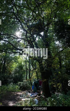 Denham, Royaume-Uni. 11 septembre 2020. Une maison d'arbres installée par des protecteurs d'arbres de la rébellion HS2 dans un chêne mature qui devrait être abattu dans le cadre de travaux reliés à la liaison ferroviaire haute vitesse HS2. Les militants anti-HS2 continuent d'essayer d'empêcher ou de retarder les travaux sur la liaison ferroviaire à grande vitesse HS2 controversée de 106 milliards de livres provenant d'une série de camps de protection basés le long de la route de la ligne entre Londres et Birmingham. Crédit : Mark Kerrison/Alamy Live News Banque D'Images